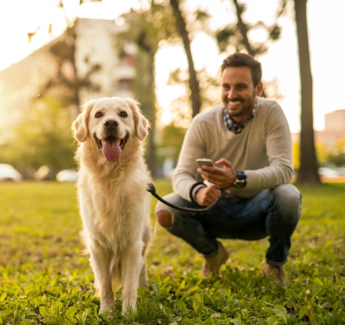 The-Blake-Apartments-Pet-Friendly The-Blake-Apartments-Pet-Friendly